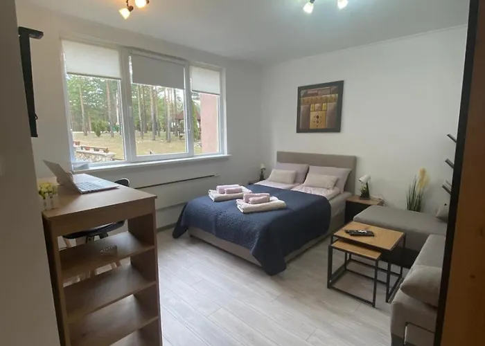 Apartment Krcmarica 10 *